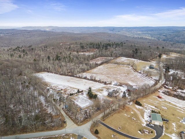 drone / aerial view with a mountain view