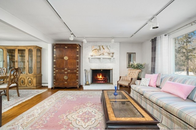 living room with a brick fireplace, wood-type flooring, rail lighting, and a baseboard radiator