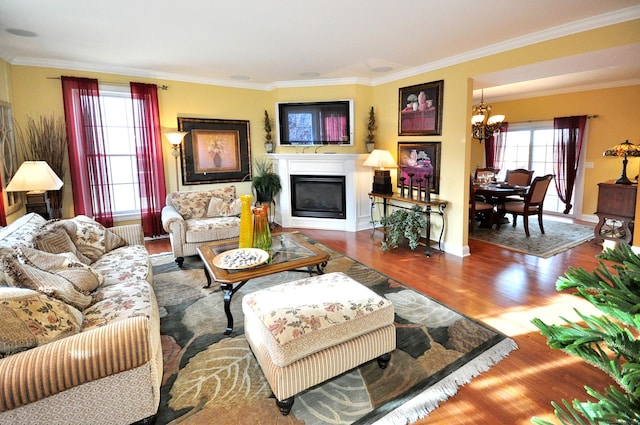 living room with crown molding, hardwood / wood-style flooring, and a notable chandelier