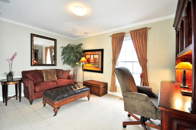 interior space with light carpet and ornamental molding