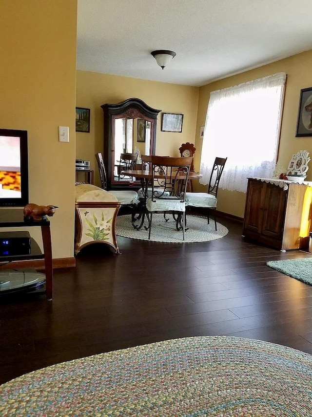 dining space featuring hardwood / wood-style floors