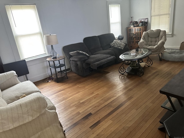 living room featuring wood-type flooring