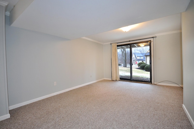 spare room with crown molding and carpet flooring