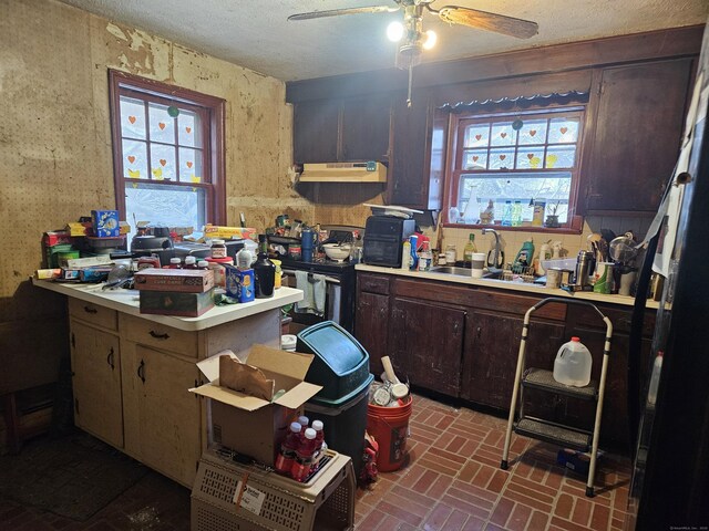 kitchen featuring ceiling fan, sink, a textured ceiling, and dark brown cabinets