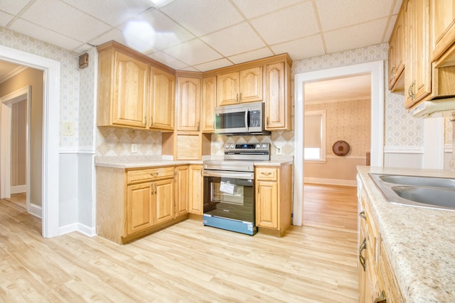 kitchen with light wood-type flooring, appliances with stainless steel finishes, backsplash, and sink