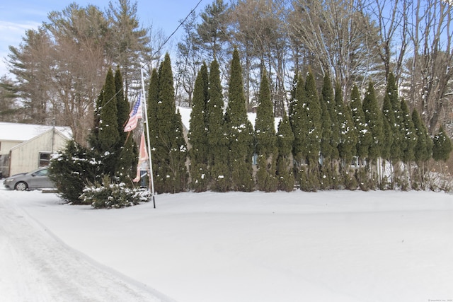 view of yard layered in snow