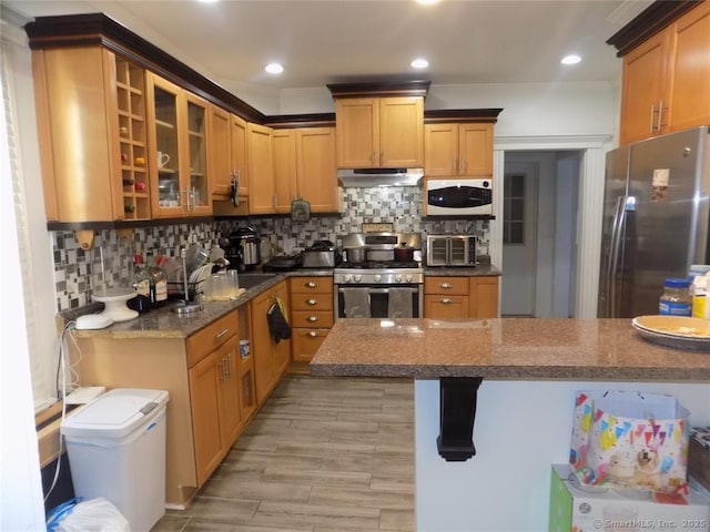 kitchen with tasteful backsplash, appliances with stainless steel finishes, light hardwood / wood-style flooring, and dark stone counters