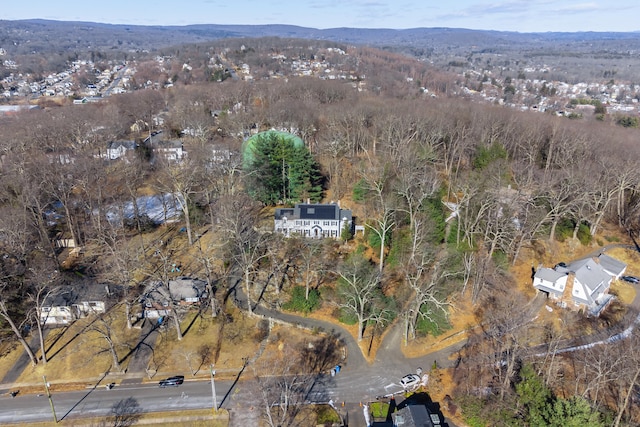 birds eye view of property featuring a forest view and a mountain view