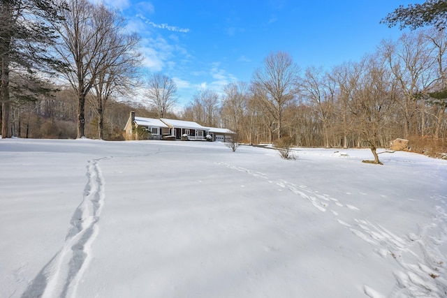 view of yard covered in snow