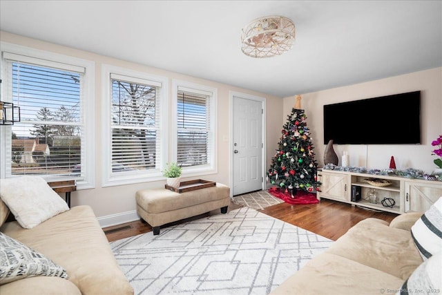 living room with hardwood / wood-style flooring