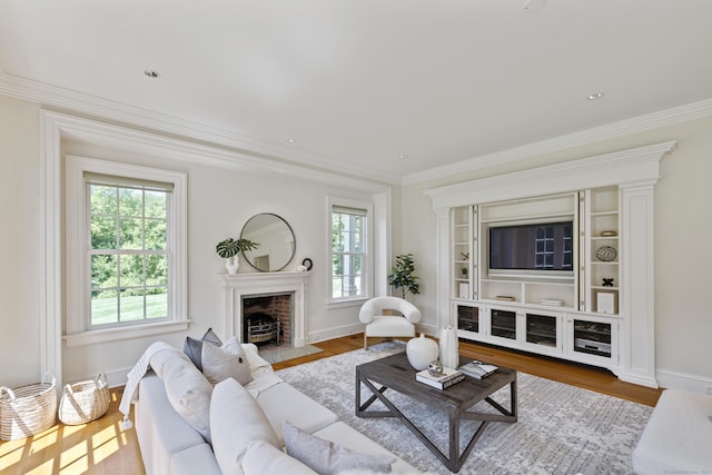 living room with wood-type flooring, ornamental molding, and a healthy amount of sunlight