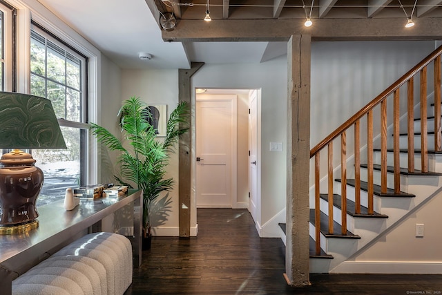 entryway featuring dark hardwood / wood-style flooring