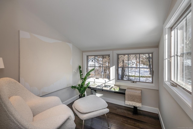 office featuring dark wood-type flooring, lofted ceiling, and a wealth of natural light