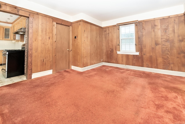 carpeted spare room with wooden walls