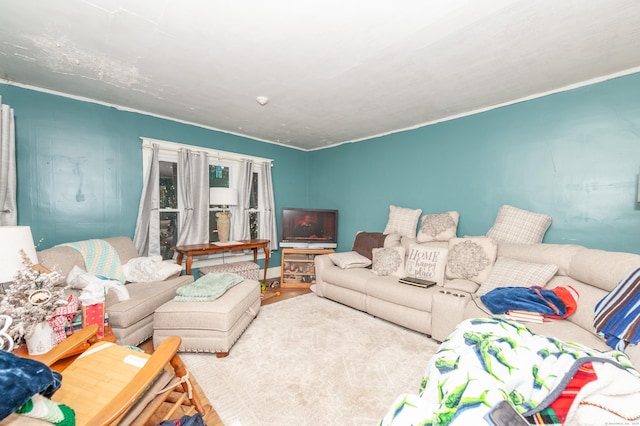 living room featuring hardwood / wood-style floors