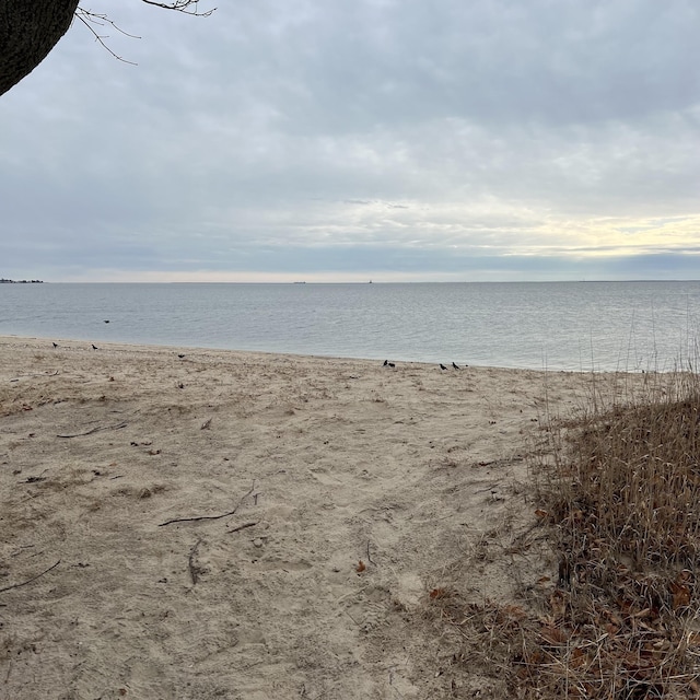 water view featuring a beach view