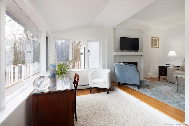 interior space featuring lofted ceiling, a baseboard heating unit, ornamental molding, and hardwood / wood-style floors