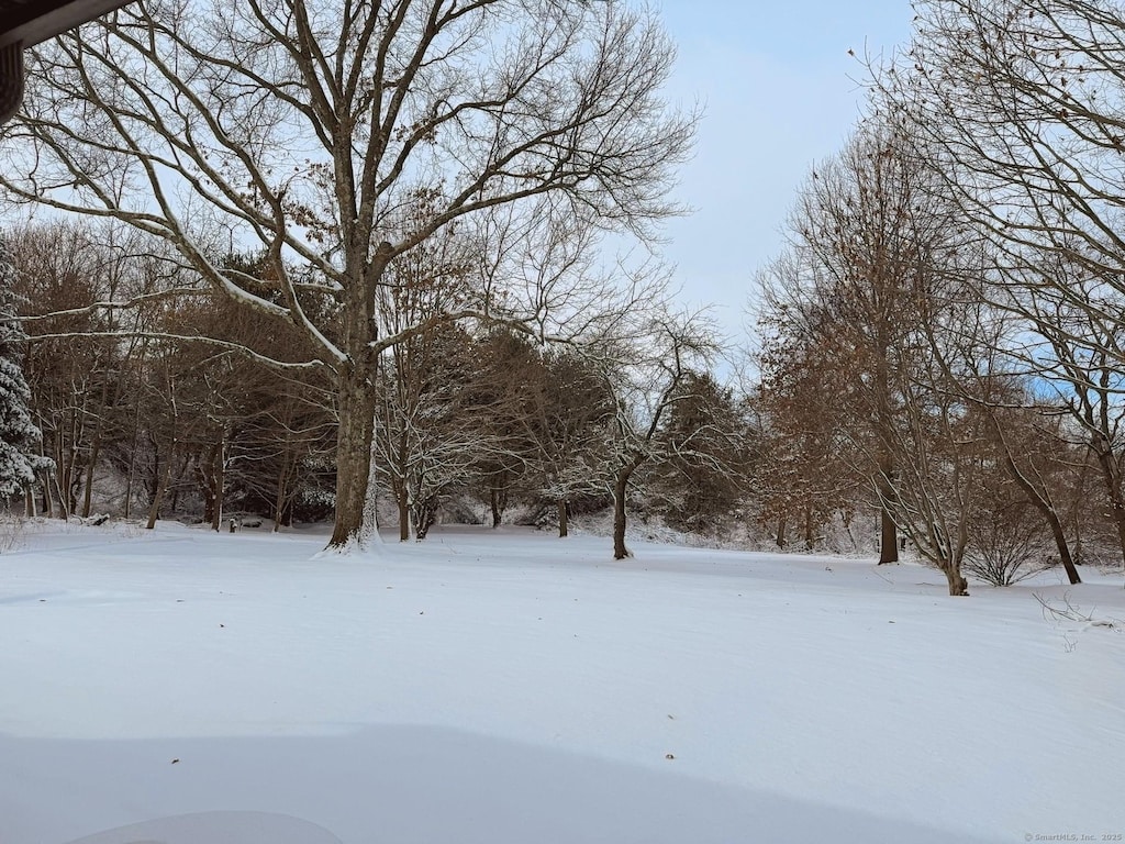 view of yard covered in snow