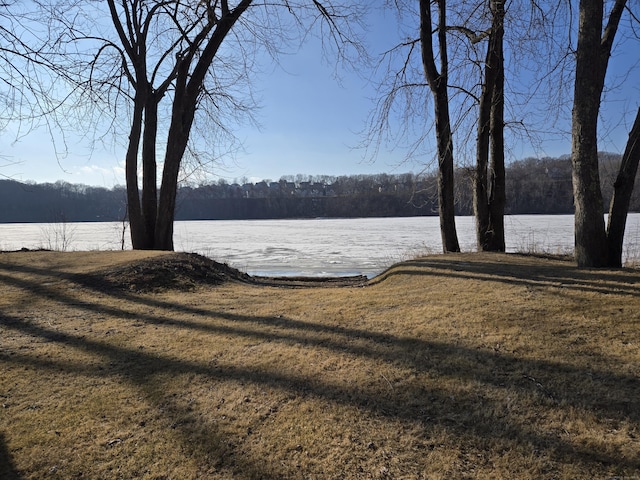 view of yard with a water view