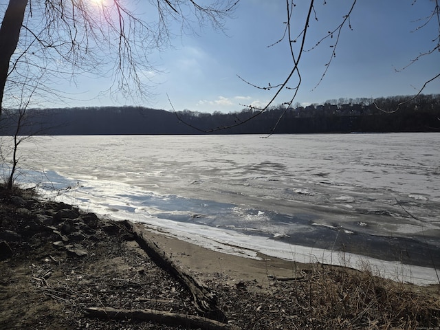 view of yard featuring a water view