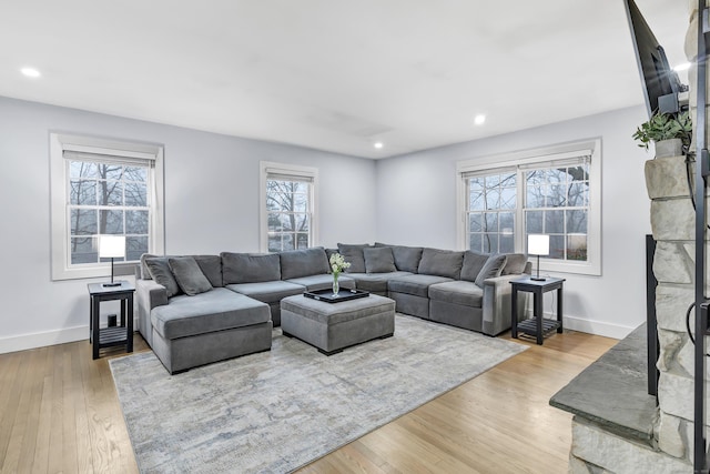 living room with wood-type flooring