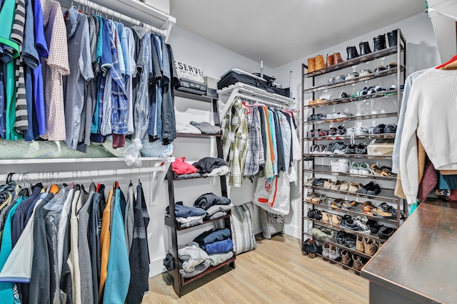 spacious closet with hardwood / wood-style flooring