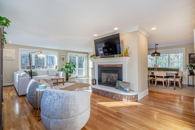 living room with wood-type flooring, a baseboard radiator, and a fireplace