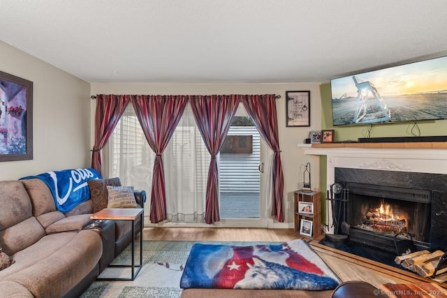 living room with light hardwood / wood-style floors