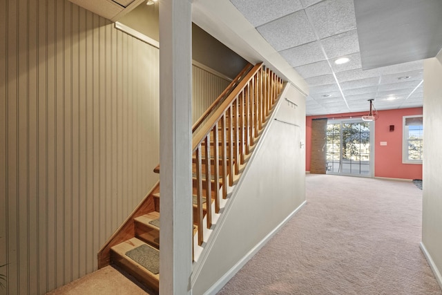 staircase featuring carpet floors and a drop ceiling