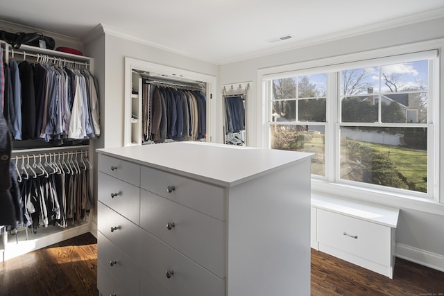 walk in closet with dark hardwood / wood-style floors