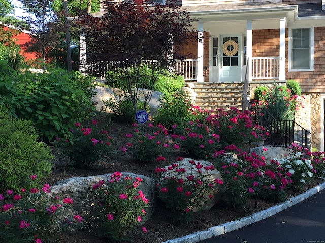 view of exterior entry featuring covered porch