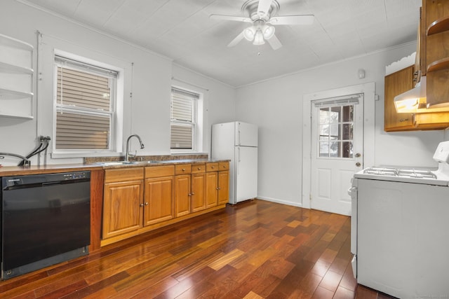 kitchen with sink, range, dark hardwood / wood-style floors, black dishwasher, and white refrigerator