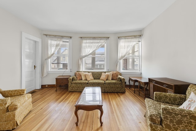 living room featuring a wealth of natural light and light hardwood / wood-style flooring