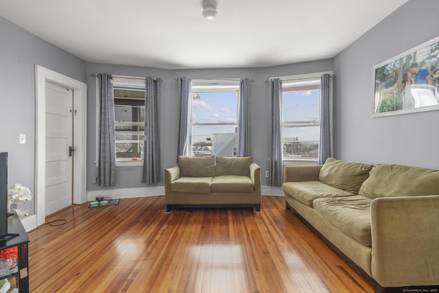 living room featuring hardwood / wood-style floors