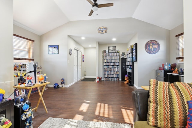 interior space featuring lofted ceiling, plenty of natural light, and dark hardwood / wood-style floors