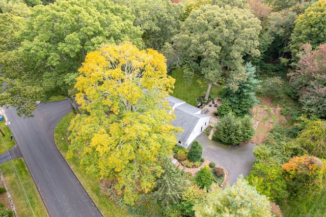 aerial view with a view of trees