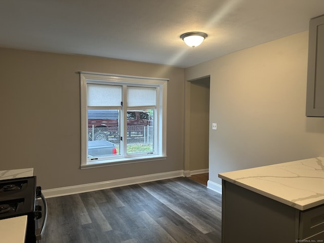 unfurnished dining area featuring dark hardwood / wood-style flooring