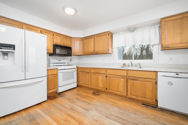 kitchen with sink, white appliances, and light wood-type flooring