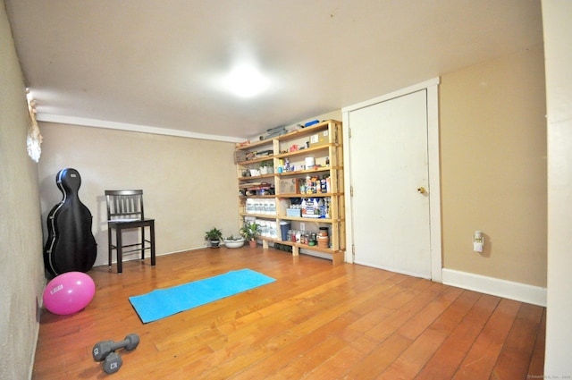 exercise room featuring hardwood / wood-style flooring