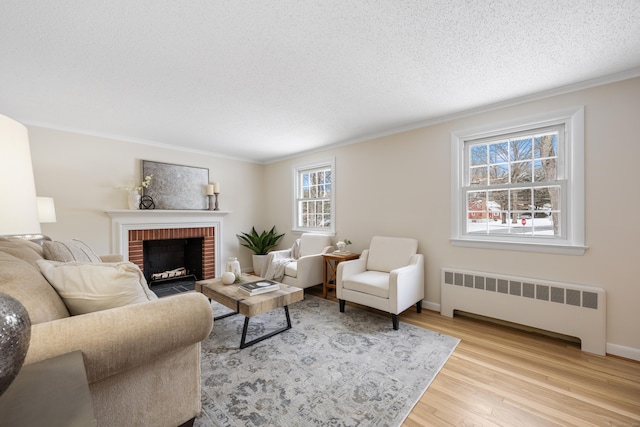 living room featuring light hardwood / wood-style floors, a wealth of natural light, radiator, and a fireplace