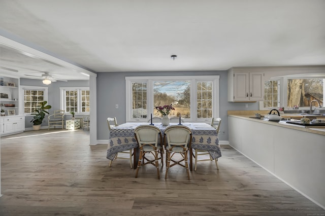 dining space with wood-type flooring, plenty of natural light, and sink