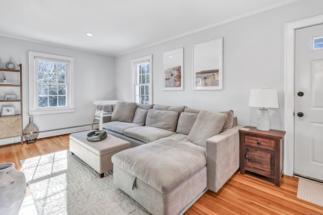 living room with crown molding, a healthy amount of sunlight, and light hardwood / wood-style floors