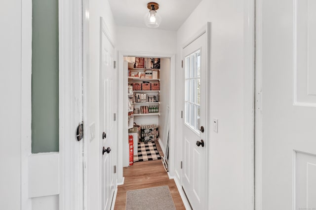 interior space with light wood-type flooring