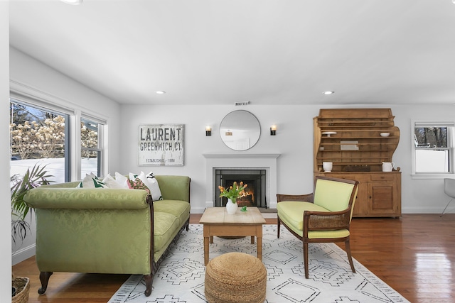 living room featuring hardwood / wood-style flooring