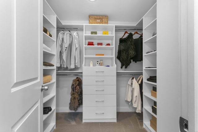 walk in closet with carpet floors