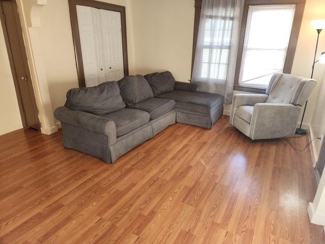 living room featuring light hardwood / wood-style floors