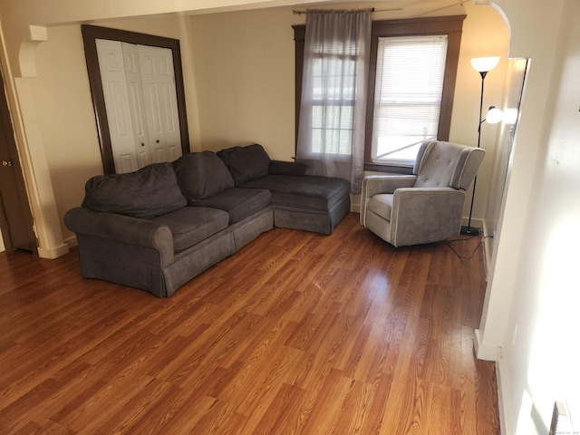 living room featuring wood-type flooring