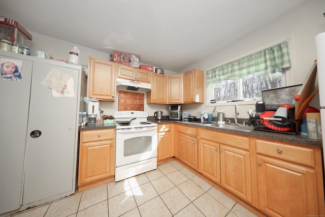 kitchen with white appliances, dark countertops, under cabinet range hood, and a sink