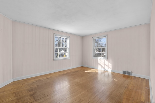 empty room with light wood-type flooring and a wealth of natural light