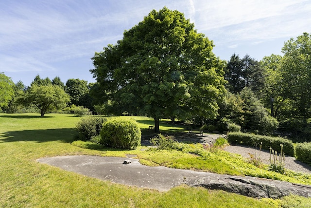 view of community featuring a lawn